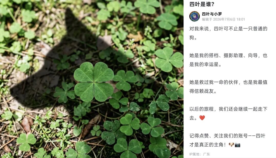 小罗军犬干员剧情_三角洲行动四叶ARG解谜_三角洲行动干员