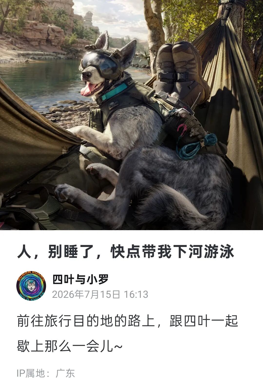三角洲行动干员_小罗军犬干员剧情_三角洲行动四叶ARG解谜